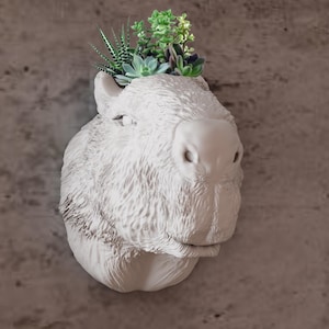 May include: White ceramic planter shaped like a capybara head with a small succulent plant growing out of the top.