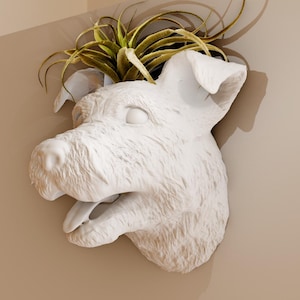 May include: White ceramic dog head planter with a green plant growing out of the top.