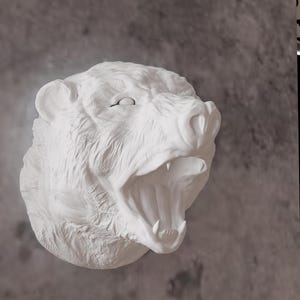 May include: White plaster sculpture of a bear's head with an open mouth, showing teeth. The bear's head is mounted on a wall.