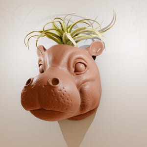 May include: A terracotta-colored hippopotamus planter with a green air plant growing out of the top.