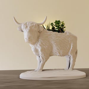 May include: A white ceramic Highland cow planter with a textured surface. The planter is filled with green plants and has curved horns. The cow is standing on a round base, suitable for indoor or outdoor use.