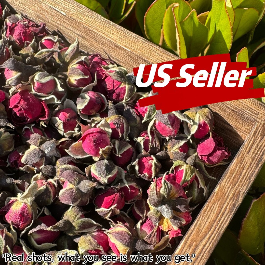 Miniature Baby Red Roses and Rose Buds Dried Mini Rosebuds I Bulk Herbs ...