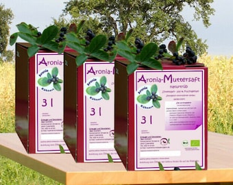 3 x 3l organic aronia juice 2023 mother juice direct juice Kühnerts-Hofladen Saxony