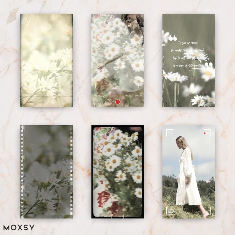 May include: A collage of six images with a vintage aesthetic. The images feature daisies, a woman in a white dress, and text. The color palette is soft, with muted greens, yellows, and whites. The images are framed with borders and filmstrip effects.