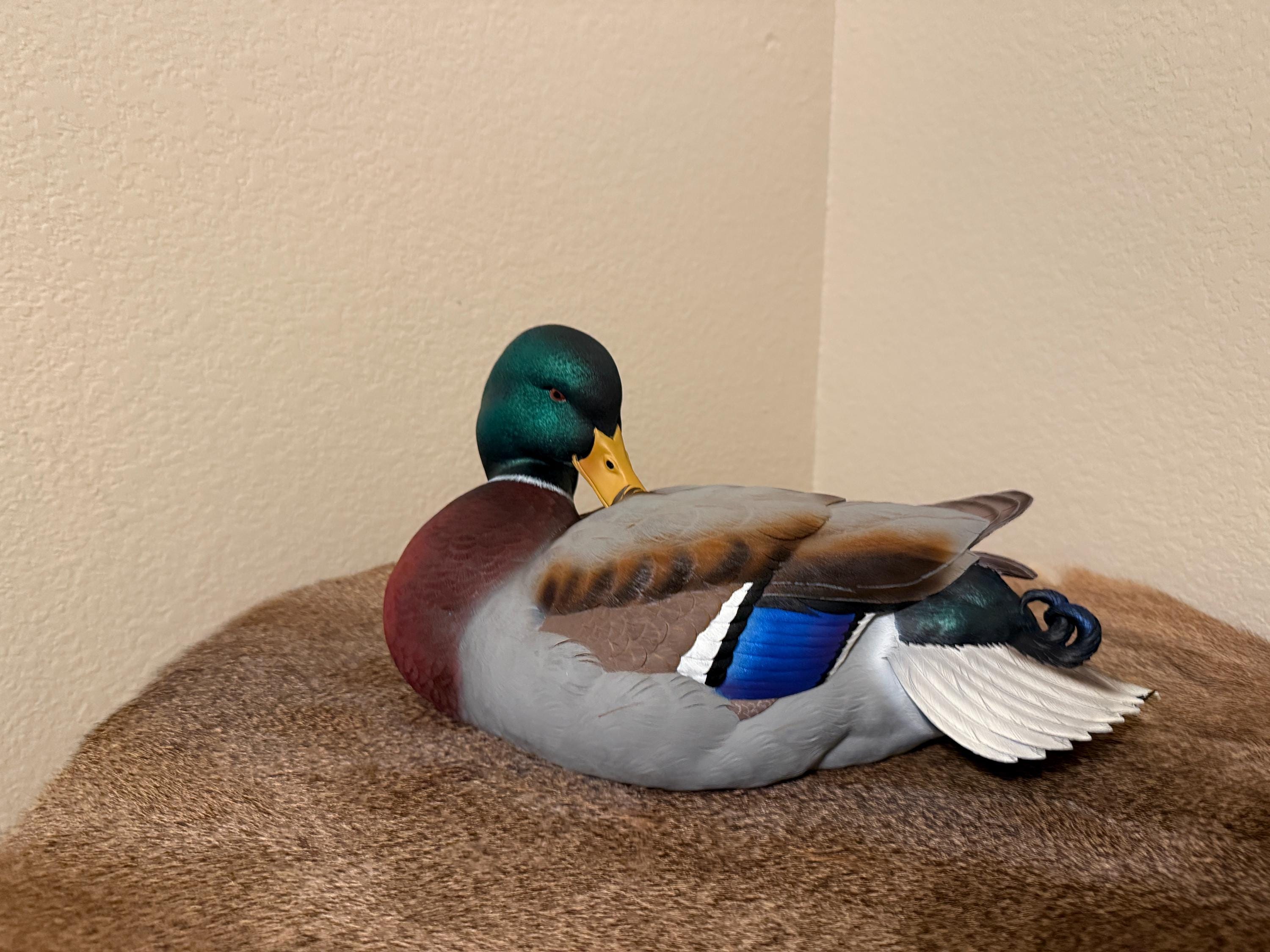 Ducks Unlimited #3 Mallard Drake Full Size Decoy by Jett Brunet