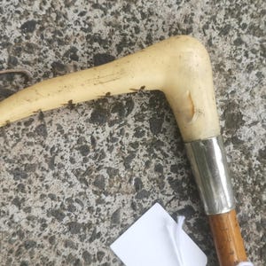 Antique Childs Cane Hunting Crop c 1920 Original Condition ( 102 )