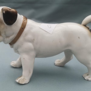 Continental Porcelain  Heavy Model of Standing Pug Dog c 1900