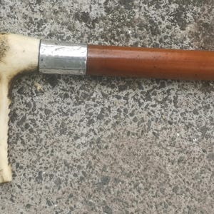 Early 20th Century Man&#39;s Sturdy Malacca Cane Hunting Whip  ( 16 )
