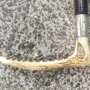 Antique Childs Malacca Cane Hunting Crop c 1920 Original Condition ( 103 )