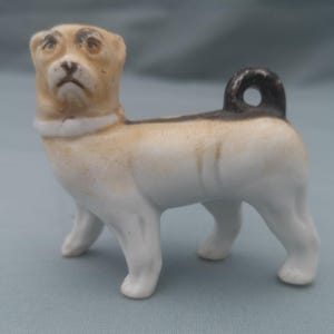 Small Continental Porcelain  Heavy Model of Standing Pug Dog c 1900