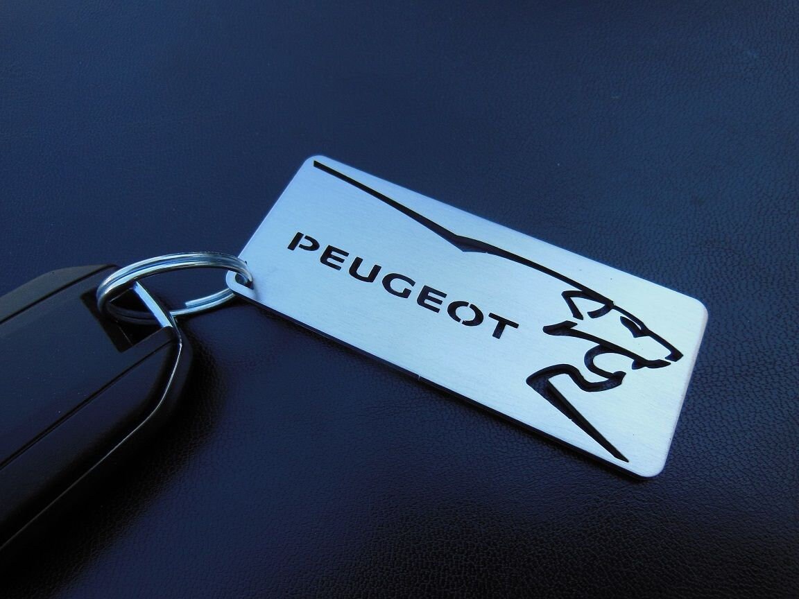Car Key Fob Cover With Bear Artificial Diamond Keychaincar Key Holder For  Peugeot Logo 206/207/307 Citroen C2 Men Women,white,black,gold,purple,gift
