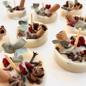 May include: Several round, off-white wax melts are arranged on a white surface. Each melt is decorated with cinnamon sticks, dried cranberries, cloves, eucalyptus leaves, and a wooden wick. The melts are designed for aromatherapy.