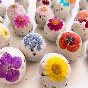 Handmade Wildflower Seed Bombs: USA Native Perennial Seeds