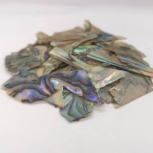 Natural Abalone Chips Inlay Flakes Rings Jewellery