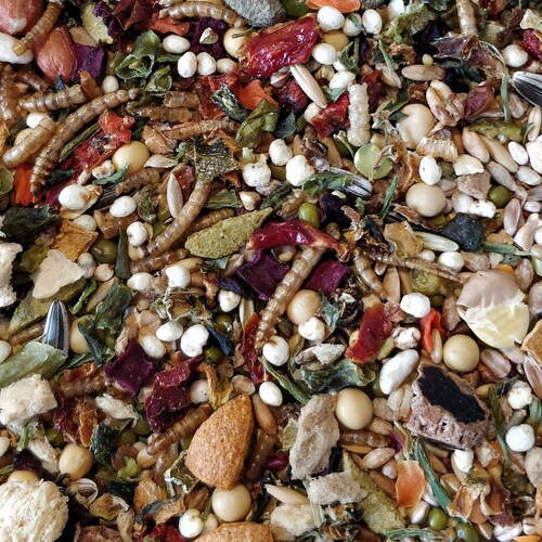 Premium Syrian Hamster Food Etsy UK