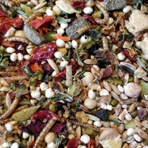 May include: A close-up of a variety of dried food items, including seeds, grains, and dried fruits. The mixture is a light brown color with some red and green accents.