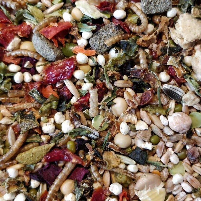 May include: A close-up of a variety of dried food items, including seeds, grains, and dried fruits. The mixture is a light brown color with some red and green accents.