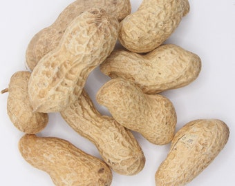 Monkey Nuts