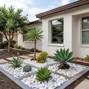 Landscape Plan, Succulent Garden,Shade Planting Scheme, Garden Plan Under Shade Tree, Tree Base Landscape, Yard and Curb Appeal