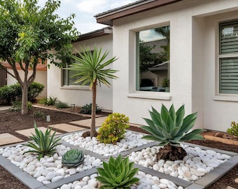 Landscape Plan, Succulent Garden,shade Planting Scheme, Garden Plan Under  Shade Tree, Tree Base Landscape, Yard and Curb Appeal - Etsy Israel