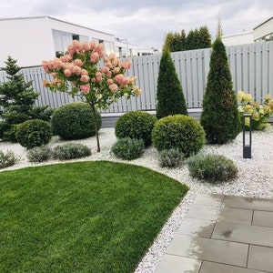 Custom Garden Design - Detailed Plant List & Support - Designed for YOUR Planting Space  Dıjıtal Dowland