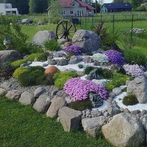 Rock Garden Planting Landscape Plan Shade Planting Scheme, Garden Plan Under Shade Tree, Tree Base Landscape, Yard and Curb Appeal