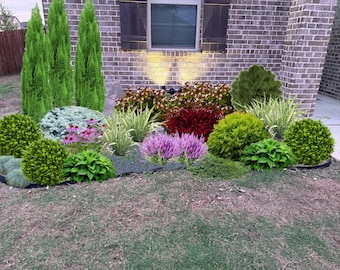 Landscape Plan Shade Planting Scheme, Garden Plan Under Shade Tree, Tree Base Landscape, Yard and Curb Appeal
