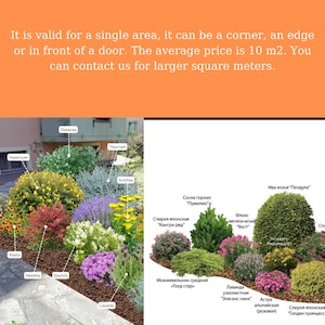 May include: A colorful garden design illustration featuring various plants and flowers, including Hypericum, Abelia, and Lavanda. The image includes text about area coverage and pricing, with a focus on landscaping and garden planning.