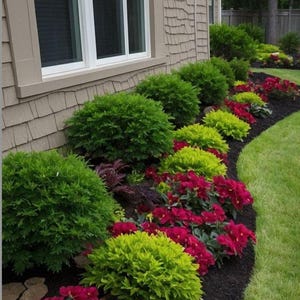 Landscape,Shade Planting Scheme, Garden Plan Under Shade Tree, Tree Base Landscape, Yard and Curb Appeal Rock Garden Design, DIY Planting