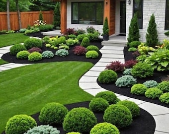 Landscape Plan,Shade Planting Custom Planting Plan for Your Garden Upload Photo,Receive Plant Layout,Species Names Quantities Digital Design