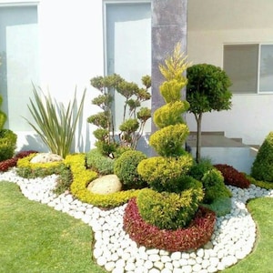 Custom Garden Design - Detailed Plant List & Support - Designed for YOUR Planting Space  Dıjıtal Dowland