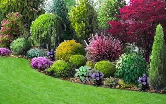 Landscape Plan ,shade Planting Scheme, Garden Plan Under