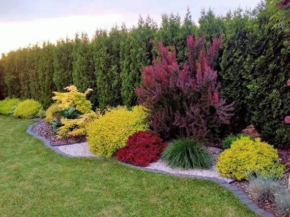 Landscape Plan,shade Planting Custom Planting Plan for Your Garden
