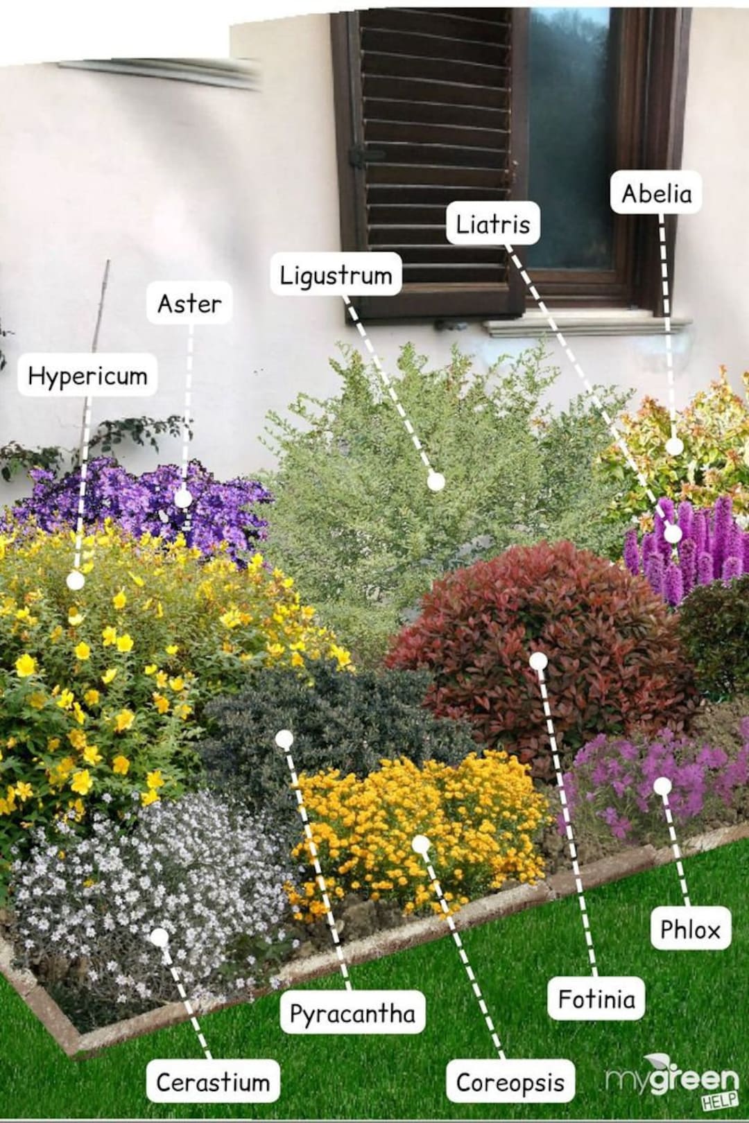 Shade Planting Scheme, Garden Plan Under Shade Tree, Tree Base ...