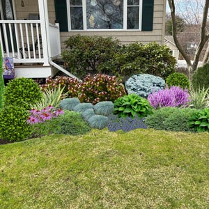 Shade Planting Scheme, Garden Plan Under Shade Tree, Tree Base Landscape, Yard and Curb Appeal