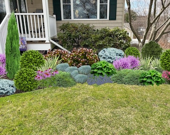 Shade Planting Scheme, Garden Plan Under Shade Tree, Tree Base Landscape, Yard and Curb Appeal