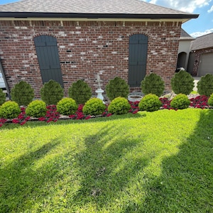 Premade Landscape Design, Landscape Berm, Zone 5-8 Berm, Coniferous Berm, Evergreen Fantasy Garden, Evergreen Berm,Shade Plan