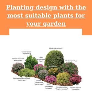 May include: A planting design illustration featuring various plants labeled in Russian. The image includes a variety of shrubs and flowers, with text at the top that reads "Planting design with the most suitable plants for your garden."