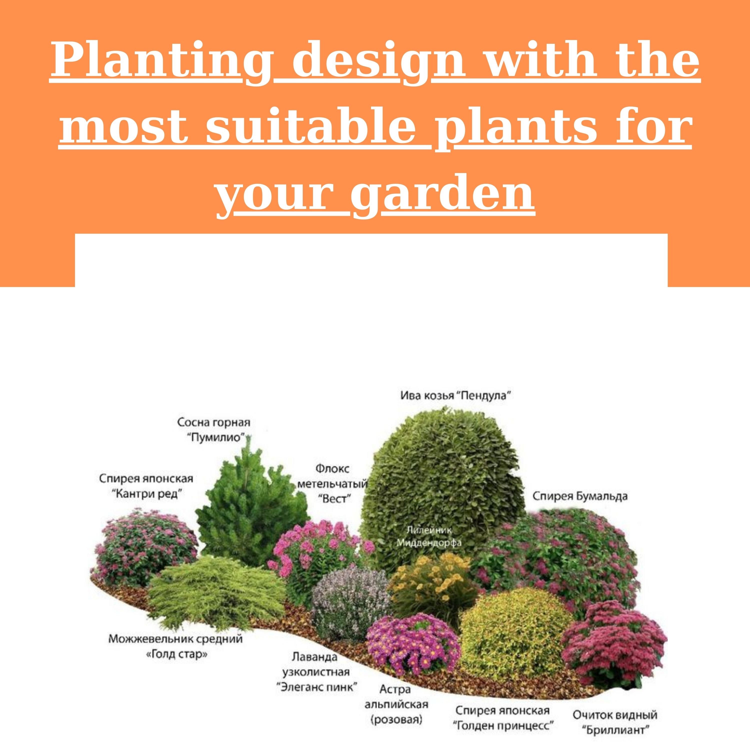 Shade Planting Scheme, Garden Plan Under Shade Tree, Tree Base