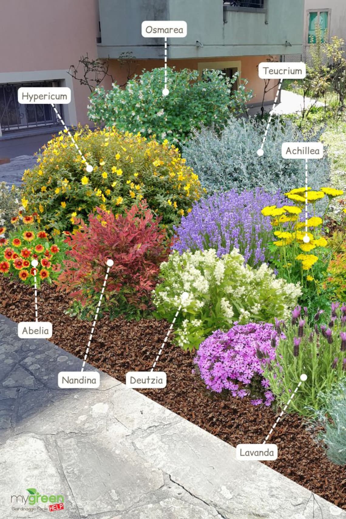 Shade Planting Scheme, Garden Plan Under Shade Tree, Tree Base ...