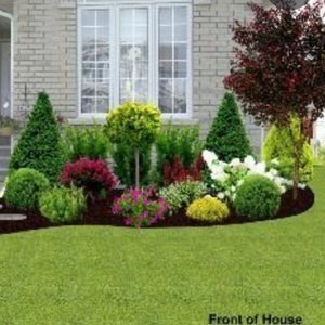 May include: A well-manicured front yard with a variety of plants and shrubs. The landscaping includes a mix of green, red, and yellow foliage, with a neatly trimmed lawn in the foreground. A brick house with large windows is in the background.
