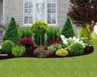 Landscape Plan,Shade Planting Scheme, Garden Plan Under Shade Tree, Tree Base Landscape, Yard and Curb Appeal