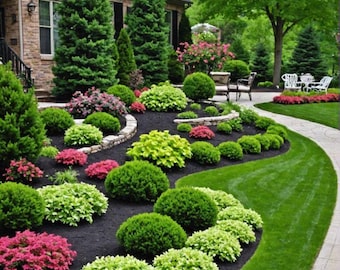 Landscape Plan,Shade Planting Scheme, Garden Plan Under Shade Tree, Tree Base Landscape, Yard and Curb Appeal