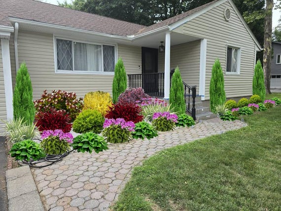 Landscape Plan,shade Planting Scheme, Garden Plan Under Shade Tree, Tree  Base Landscape, Yard and Curb Appeal - Etsy