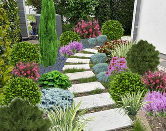 Landscape Plan,Shade Planting Scheme, Garden Plan Under Shade Tree, Tree Base Landscape, Yard and Curb Appeal