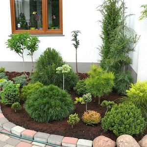 Landscape Plan,Custom Garden Design - Detailed Plant List & Support - Designed for YOUR Planting Space  Dıjıtal Dowland