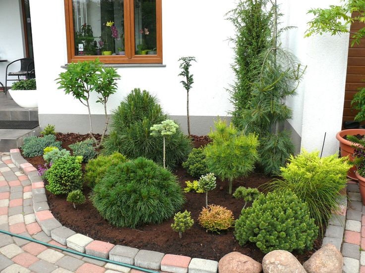 Landscape Plan,Custom Garden Design - Detailed Plant List & Support - Designed for YOUR Planting Space  Dıjıtal Dowland