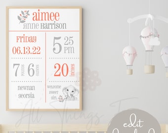 Stampa nascita bambina / Stampa nascita digitale / Nuovo regalo bambino / Stampa nascita bambino modificabile / Statistiche nascita / Poster statistica nascita / Arredamento asilo nido /