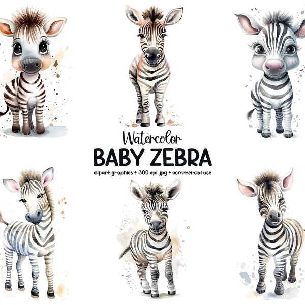 Cute Baby Zebra Clipart Bundle, Watercolor Animal Illustration Printable Art Set, Adorable Zebra Cub Clipart, 16 JPG Files, Commercial Use