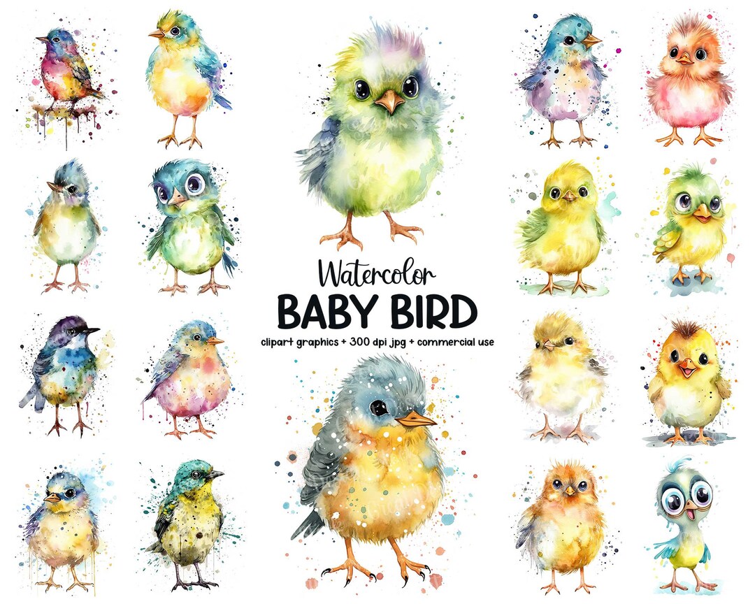 Cute Baby Bird Clipart Bundle, Watercolor Animal Illustration Printable ...